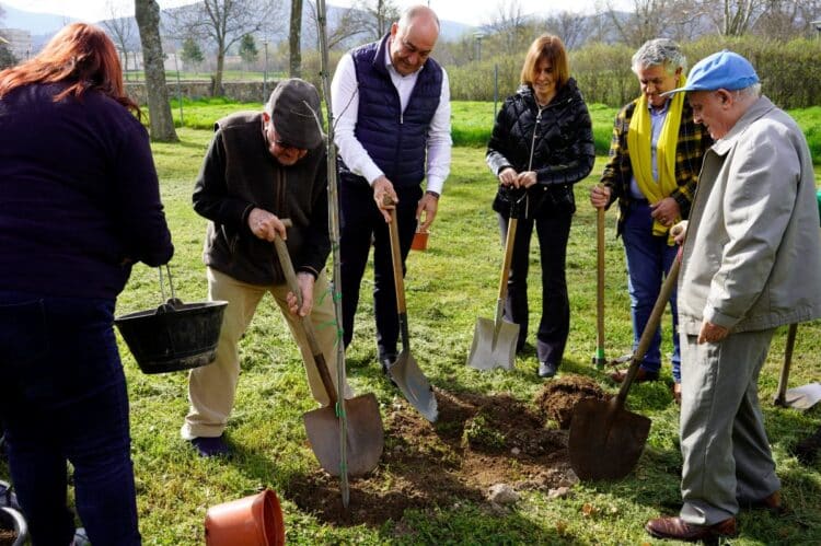 Conmemoración del Día del Árbol en el CSS La Fuencisla / DIPUTACIÓN