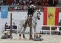 Juan José Verdugo con ‘Aire de Cantarinas’, campeón de España en el año 2025./ FEDERACIÓN