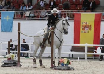 Juan José Verdugo con ‘Aire de Cantarinas’, campeón de España en el año 2025./ FEDERACIÓN