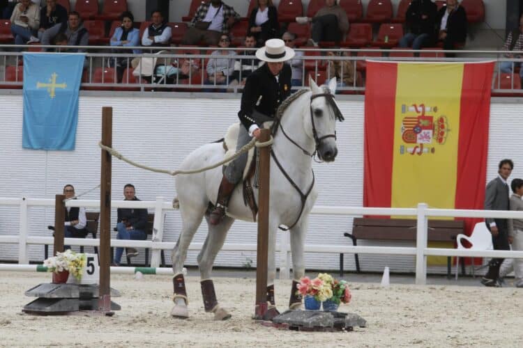 Juan José Verdugo con ‘Aire de Cantarinas’, campeón de España en el año 2025./ FEDERACIÓN