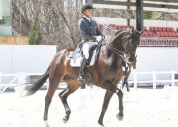 Cristian Tudela, montando a ‘Shpectrium’. / FEDERACIÓN