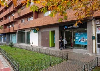 Sedes bancarias y de cajas de ahorro en la avenida Vía Roma. / E.A.