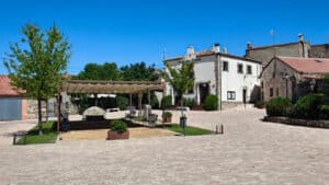 Pelayos del Arroyo tiene en la actualidad alrededor de 46 habitantes.