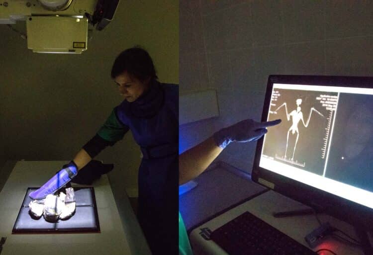 Las aves representan el 84 por ciento de los ingresos en la red de centros autonómicos. / Eduardo Margareto