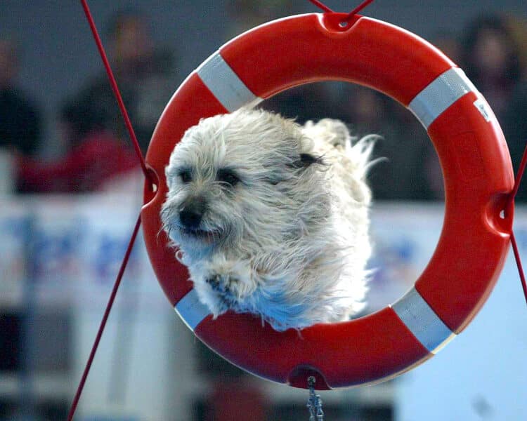 El programa incluye tres competiciones de alto nivel. / Leticia Pérez