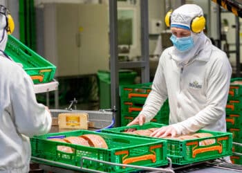 La compañía ha contado con 590 proveedores de la Comunidad en 2025.