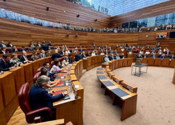 El día 24 de abril se dará por finalizada la composición del Parlamento. / Leticia Pérez