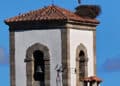 Las cigüeñas campan a sus anchas sobre el tejado del campanario de la iglesia de la Inmaculada Concepción.
