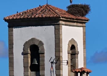 Las cigüeñas campan a sus anchas sobre el tejado del campanario de la iglesia de la Inmaculada Concepción.