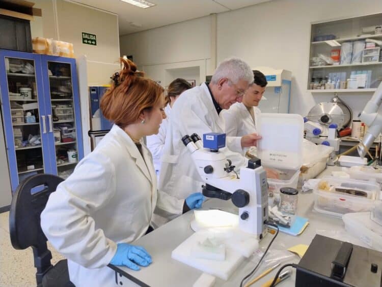 El equipo de arqueólogos en el laboratorio. /JBM