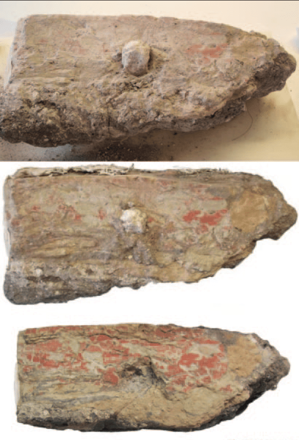 Captura de pantalla 2026 03 12 172234