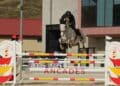 Un participante durante una prueba celebrada en el Centro Ecuestre./FHCYL