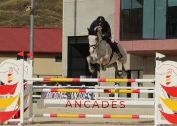 Un participante durante una prueba celebrada en el Centro Ecuestre./FHCYL