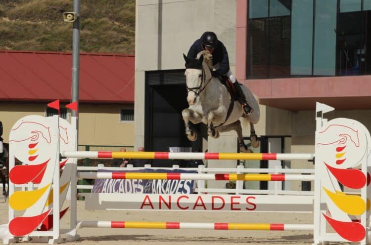 Un participante durante una prueba celebrada en el Centro Ecuestre./FHCYL