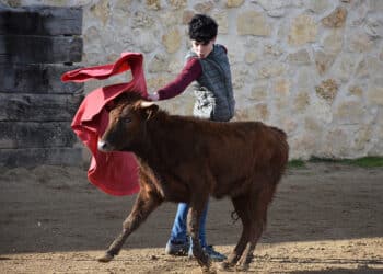 El alumno de la Escuela Taurina de Segovia Joaquín López. / A.M.