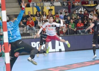 El chileno ‘Pancho’ Ahumada durante un encuentro del curso pasado con el Balonmano Nava frente a Ademar en el Guerreros Naveros./AMADOR MARUGÁN