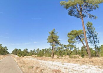 Camino entre Cantalejo y Lastras, conocido como ‘Camino de la Ermita’ o ‘Carretera de Lastras’ / PSOE DE SEGOVIA