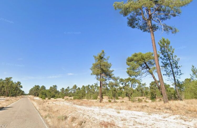 Camino entre Cantalejo y Lastras, conocido como ‘Camino de la Ermita’ o ‘Carretera de Lastras’ / PSOE DE SEGOVIA
