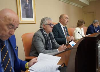Óscar Moral, José María Bravo, Miguel Ángel de Vicente, Magdalena Rodríguez y Basilio del Olmo, durante el Pleno celebrado este jueves. / DIPUTACIÓN