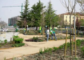 Varios operarios plantan vegetación arbustiva y arbórea en la plaza Calderón de la Barca. / HÉCTOR CRIADO