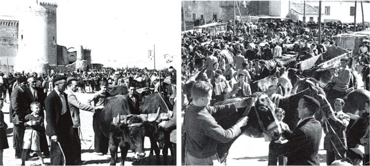 Imágenes de la Feria de Cuéllar a mediados del siglo XX. / ARCHIVO FOTOGRAFICO DE CUELLAR- FONDO FOTO RAFAEL
