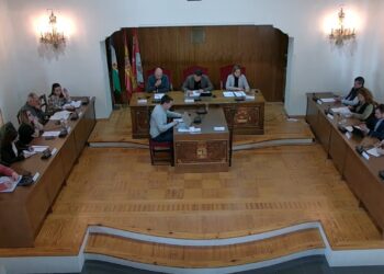 Pleno extraordinario del 15 de abril / AYTO. EL ESPINAR