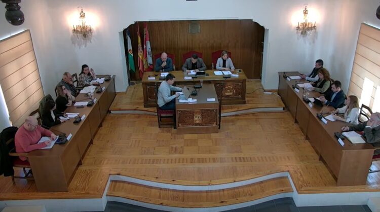 Pleno extraordinario del 15 de abril / AYTO. EL ESPINAR