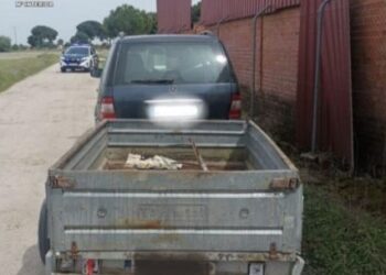 Detenido por la sustracción de un remolque en Cuéllar / GUARDIA CIVIL