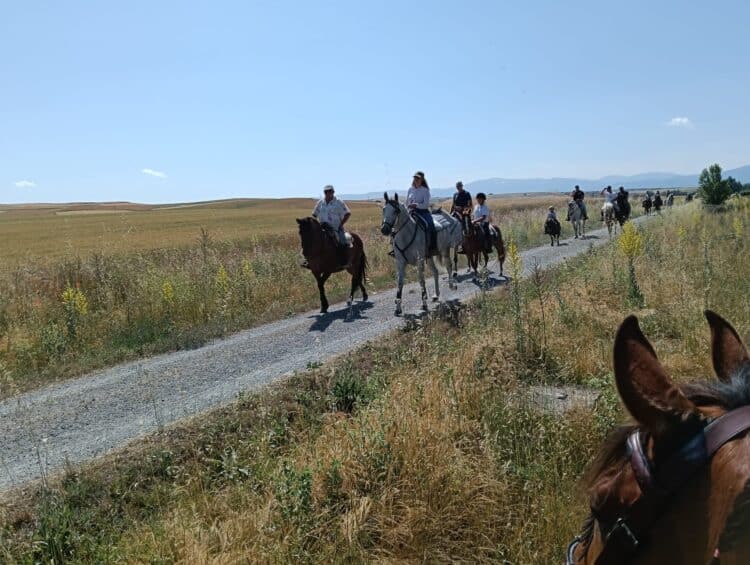Paseo por los alrededores de la localidad / AYTO. DE HONTANARES DE ERESMA