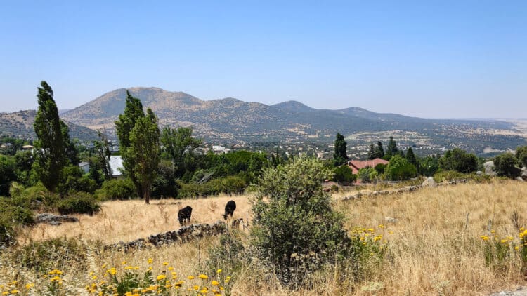 Parajes rodeados por grandes bosques 1 Desde Los Ángeles de San Rafael se puede ver la Sierra de Guadarrama.