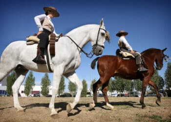 La Doma Vaquera se caracteriza por la forma de montar, influenciada por la disciplina militar y el trabajo en el campo. / José Vicente