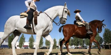 La Doma Vaquera se caracteriza por la forma de montar, influenciada por la disciplina militar y el trabajo en el campo. / José Vicente