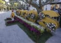 Este año la celebración cuenta con 5.000 plantas, 15.000 flores, 70 floristas y más de 30 voluntarios, escuelas y asociaciones. / Ricardo Ordóñez