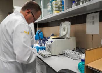 ‘Chesnut trap’ es uno de los proyectos, relacionado con la castaña, que lleva a cabo el Instituto de Biotecnología. / Carlos S. Campillo