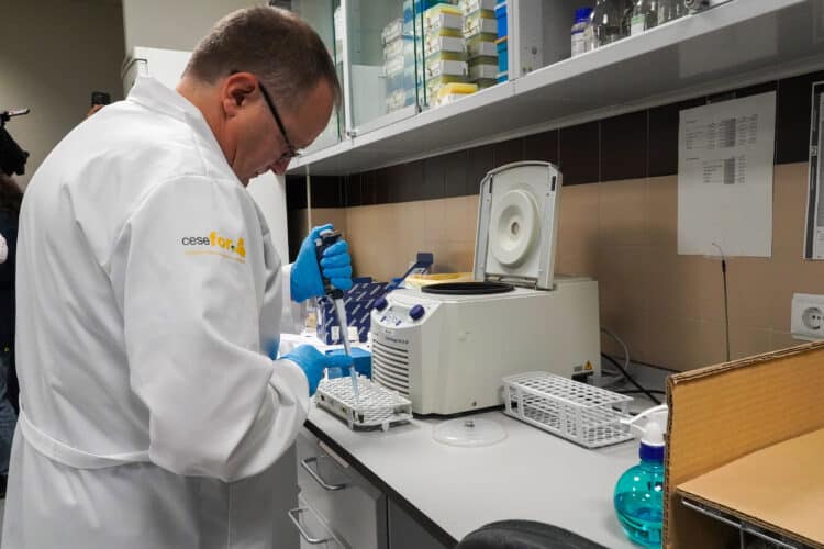 ‘Chesnut trap’ es uno de los proyectos, relacionado con la castaña, que lleva a cabo el Instituto de Biotecnología. / Carlos S. Campillo