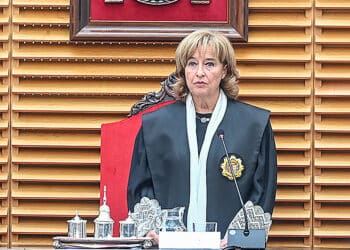 La presidenta del Tribunal Superior de Justicia de Castilla y León, Ana del Ser. / Ricardo Ordóñez