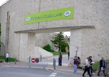 Acceso al recinto, en la explanada del castillo. /HÉCTOR CRIADO