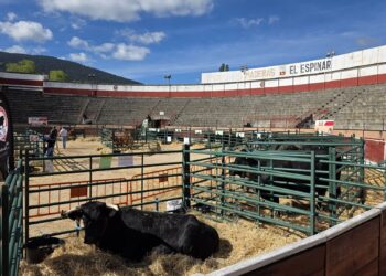 El pasado jueves se llevó a cabo la recepción de los animales. /AYUNTAMIENTO DE EL ESPINAR