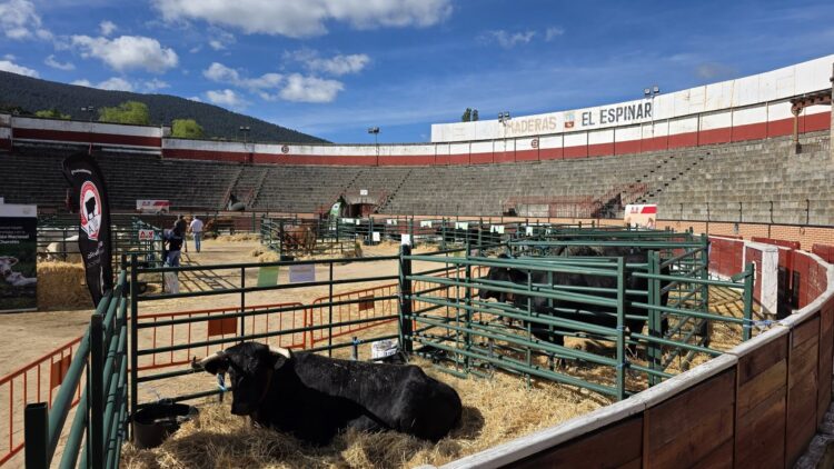 El pasado jueves se llevó a cabo la recepción de los animales. /AYUNTAMIENTO DE EL ESPINAR