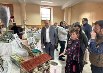 De Vicente visita una de las exposiciónes en otra edición./DIPUTACIÓN DE SEGOVIA