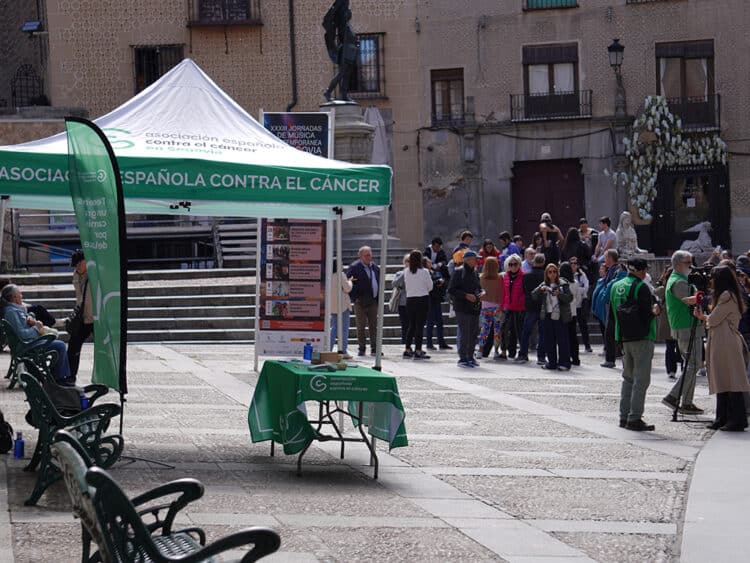 Día de la Cuestación de la AECC en Segovia. / ALEJANDRA SERNA