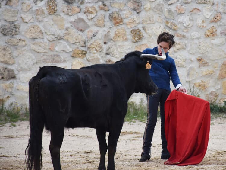 El mexicano Alejandro Avelar, en la finca segoviana de Los Cerros. / A.M.