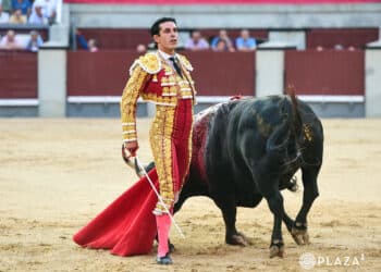El diestro extremeño Alejandro Talavante, con el quinto bis de Torrealta. / PLAZA 1