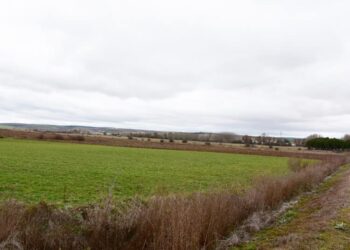Terrenos del término municipal de Barbolla / E.A.
