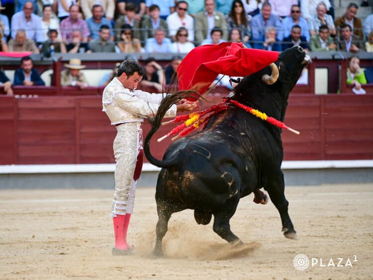 Competencia por el cetro de Madrid 1 David de Miranda. / PLAZA 1