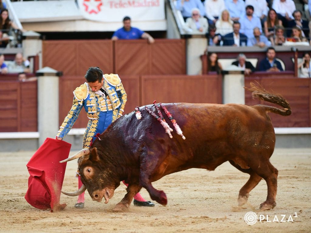 Diego Urdiales PLAZA 1 1