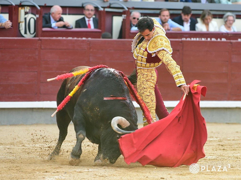 Competencia por el cetro de Madrid 2 Fortes PLAZA 1