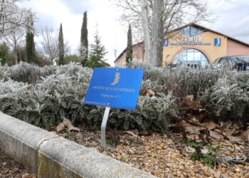 Jardín de los Aromas de la sede de FEMUR en Hontalbilla / FEMUR