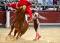 Roberto Martín 'Jarocho', con el tercero toro de Pedraza de Yeltes. / PLAZA 1