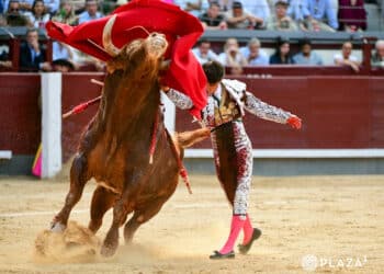 Roberto Martín 'Jarocho', con el tercero toro de Pedraza de Yeltes. / PLAZA 1